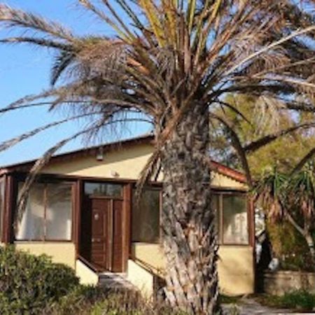 Summerhouse Peggy: Close To Athens Airport By The Sea Artemida  Dış mekan fotoğraf