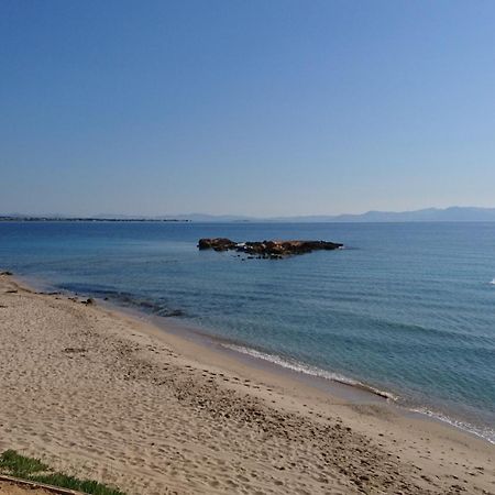 Summerhouse Peggy: Close To Athens Airport By The Sea Artemida  Dış mekan fotoğraf