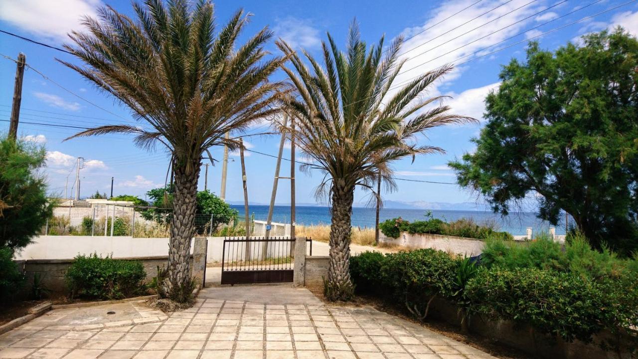 Summerhouse Peggy: Close To Athens Airport By The Sea Artemida  Dış mekan fotoğraf